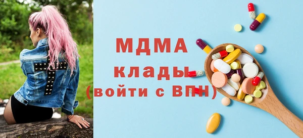 МДПВ Бородино