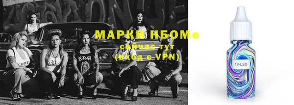 МДПВ Бородино