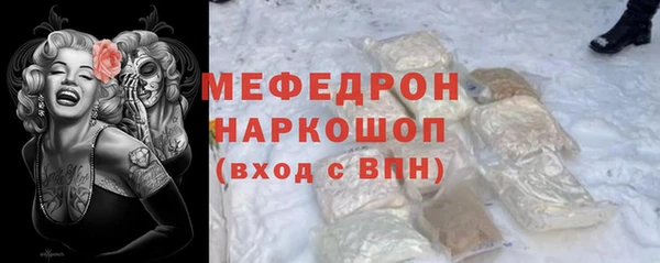 МДПВ Бородино