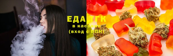 МДПВ Бородино