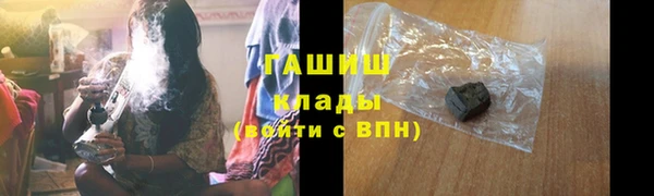 МДПВ Бородино