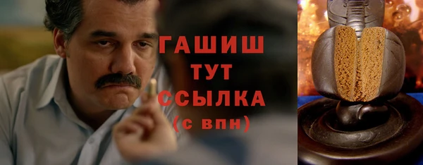 МДПВ Бородино