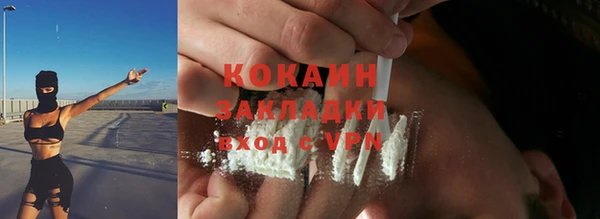 МДПВ Бородино