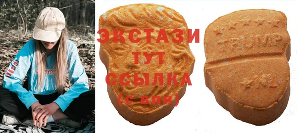 МДПВ Бородино
