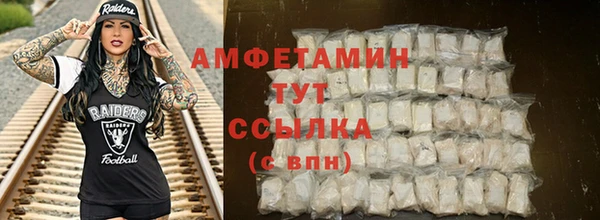 МДПВ Бородино