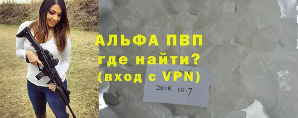 МДПВ Бородино